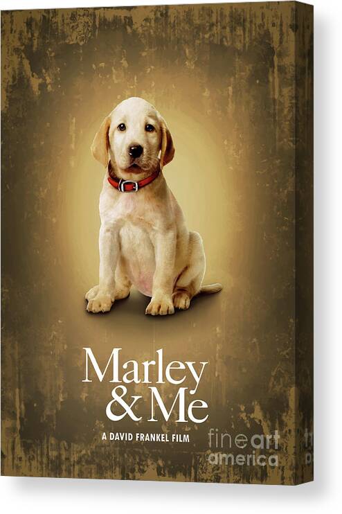 Movie Poster Canvas Print featuring the digital art Marley And Me by Bo Kev