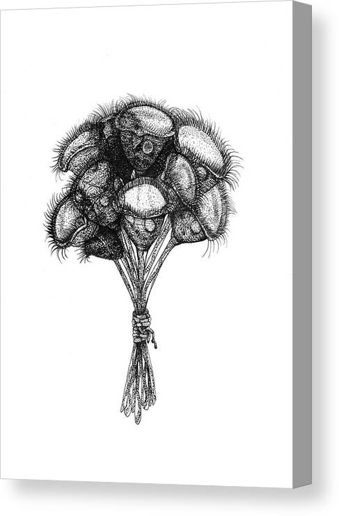 Protozoa Canvas Print featuring the drawing Microscopic Bouquet by Kate Solbakk