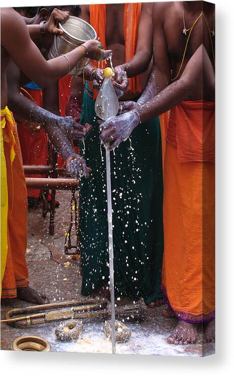 Milk Canvas Print featuring the photograph Murugan festival by Luisapuccini