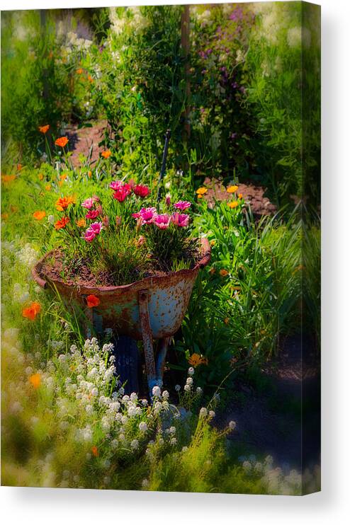 Flowers Canvas Print featuring the photograph Ol' Flower Barrow by Mike-Hope by Michael Hope