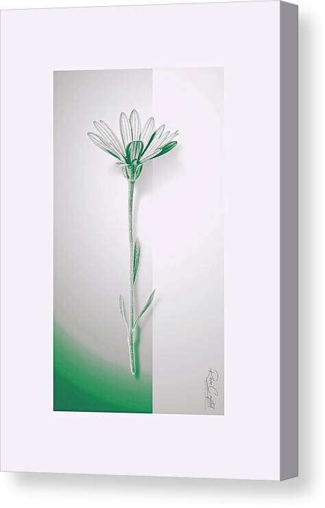 Daisy Canvas Print featuring the photograph On The Side Of Spring by Rene Crystal