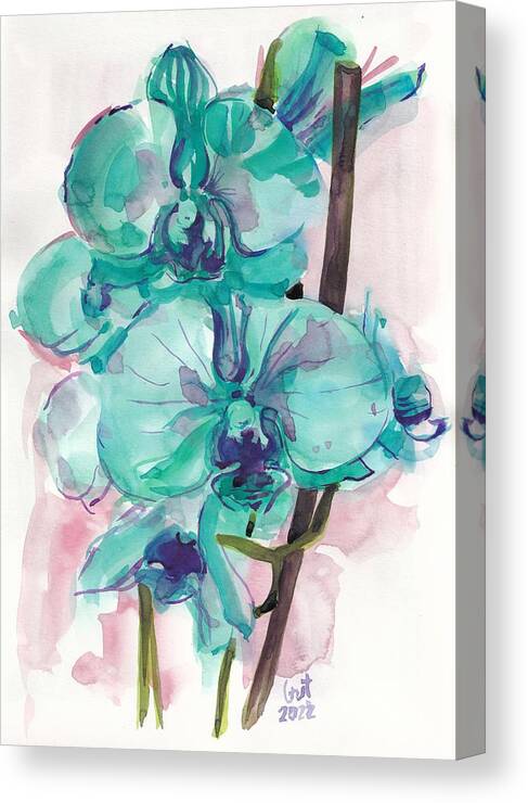 Watercolor Canvas Print featuring the painting Orchids by George Cret