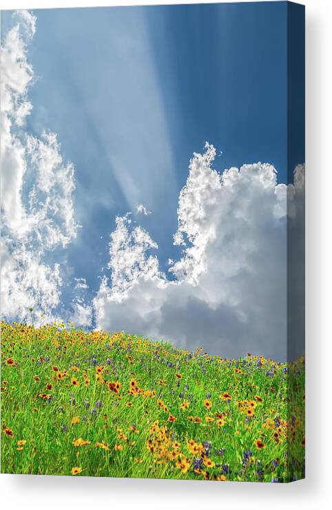 Sky Pictures Canvas Print featuring the photograph Over the Hills and Far Away by Terry Walsh