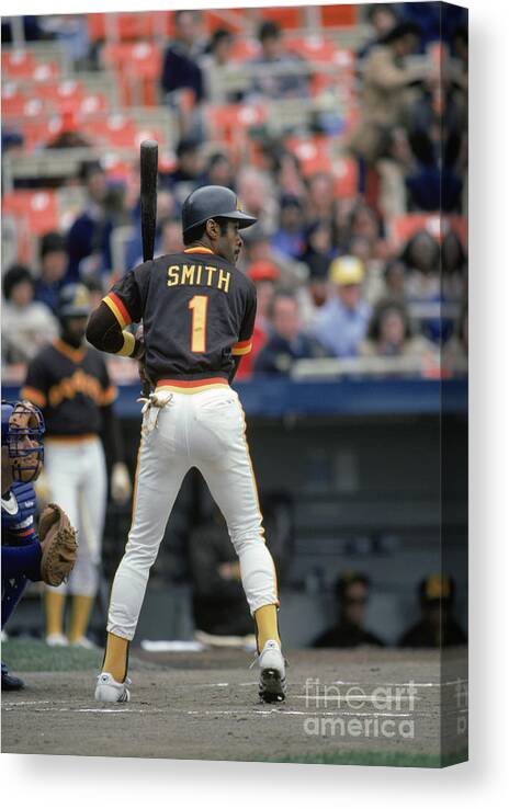 1980-1989 Canvas Print featuring the photograph Ozzie Smith by Mlb Photos