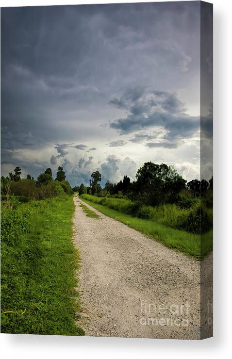 Path To The Sky Canvas Print featuring the photograph Path To The Sky by Felix Lai