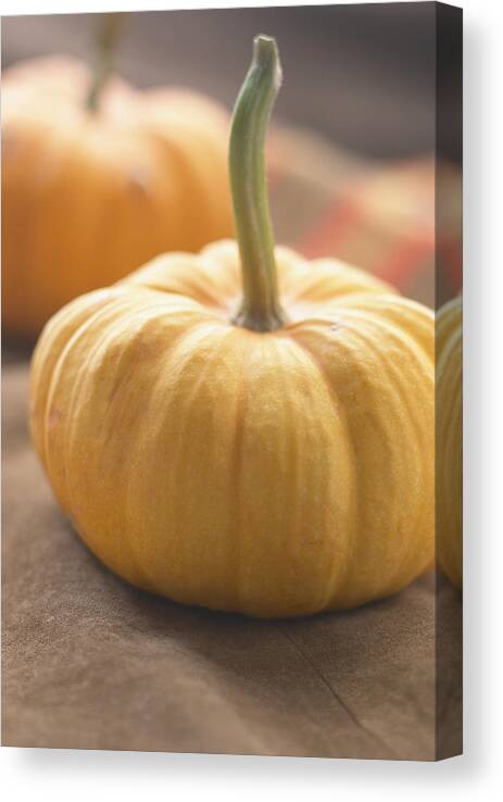 Orange Color Canvas Print featuring the photograph Pumpkins by Heidi Coppock-Beard