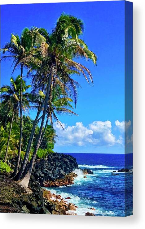  #puna #punacoastline #coastline #flowersofaloha #flowers # Flowerpower #aloha #hawaii #aloha #puna #pahoa #thebigisland Canvas Print featuring the photograph Puna Coastline Aloha by Joalene Young