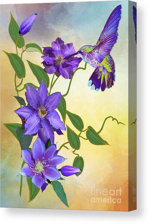 Humming Bird Canvas Print featuring the digital art Purple Attraction by Morag Bates