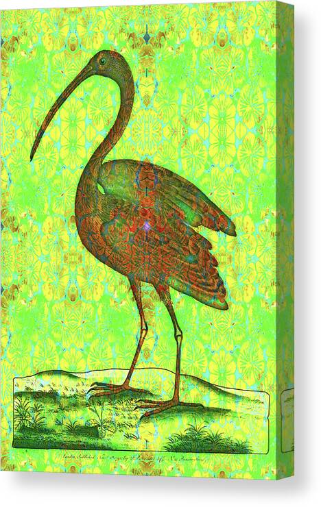 Ibis Canvas Print featuring the digital art Red ibis on green brocade by Lorena Cassady