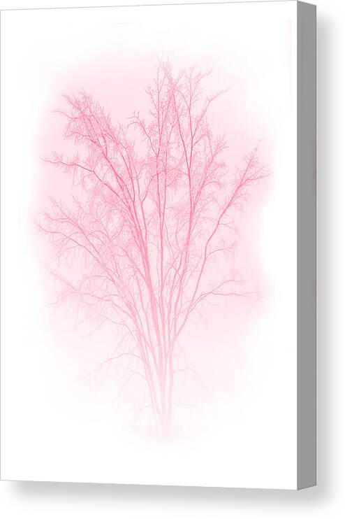 Tree Canvas Print featuring the mixed media Red by Moira Law