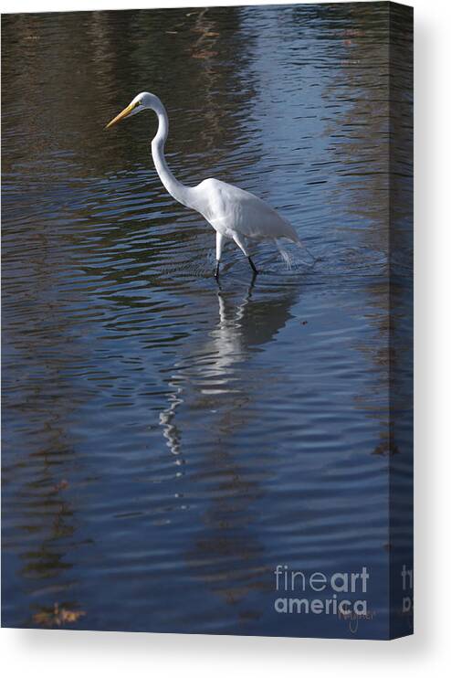 Great Egret Canvas Print featuring the painting Reflections by Hilda Wagner