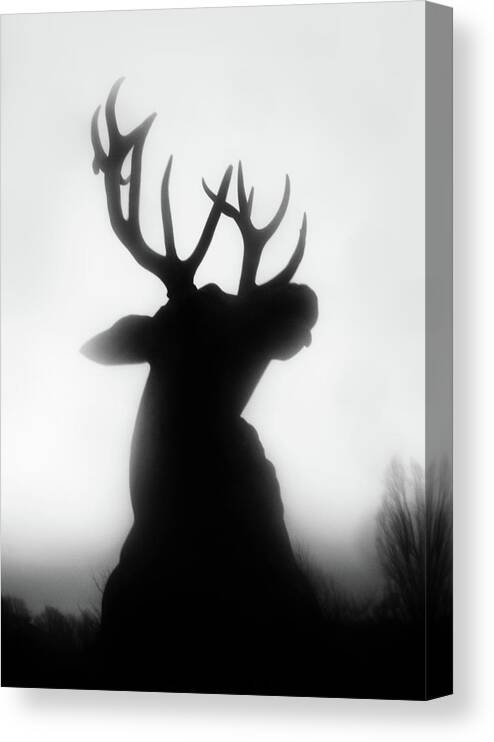 Deer Canvas Print featuring the photograph Roar by Dorit Fuhg