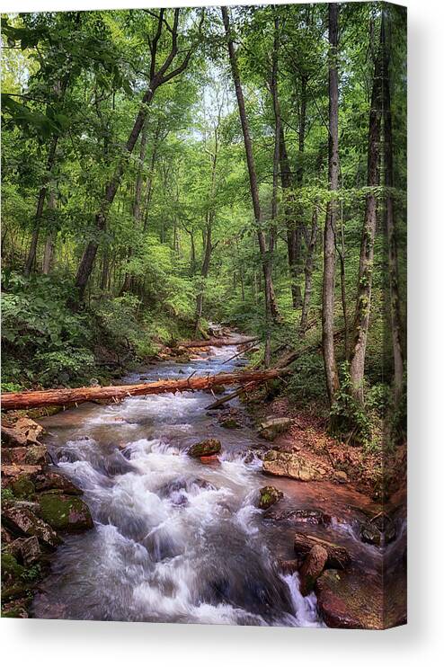 Roaring Run Canvas Print featuring the photograph Roaring Run Creek - Eagle Rock Virginia by Susan Rissi Tregoning
