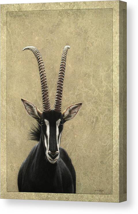 Sable Canvas Print featuring the painting Sable by James W Johnson