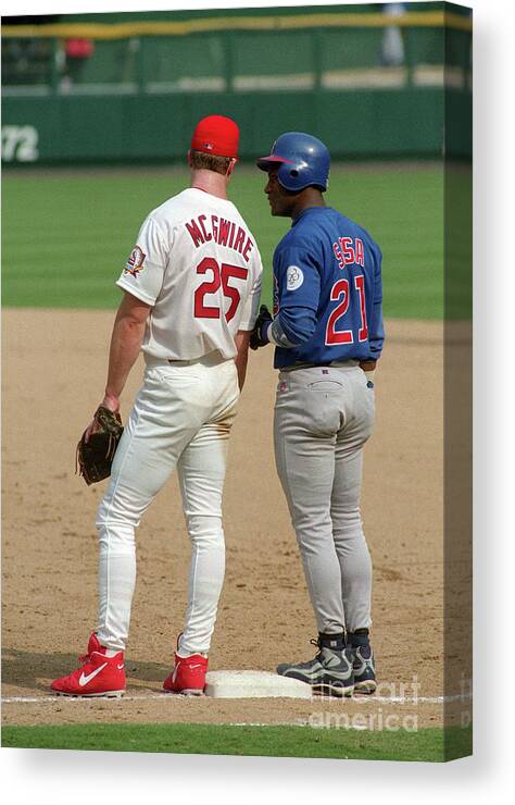 St. Louis Cardinals Canvas Print featuring the photograph Sammy Sosa and Mark Mcgwire by Icon Sports Wire