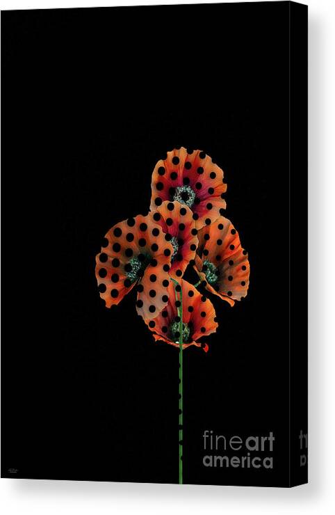 Anemone Canvas Print featuring the digital art Spotted poppy by Mehran Akhzari