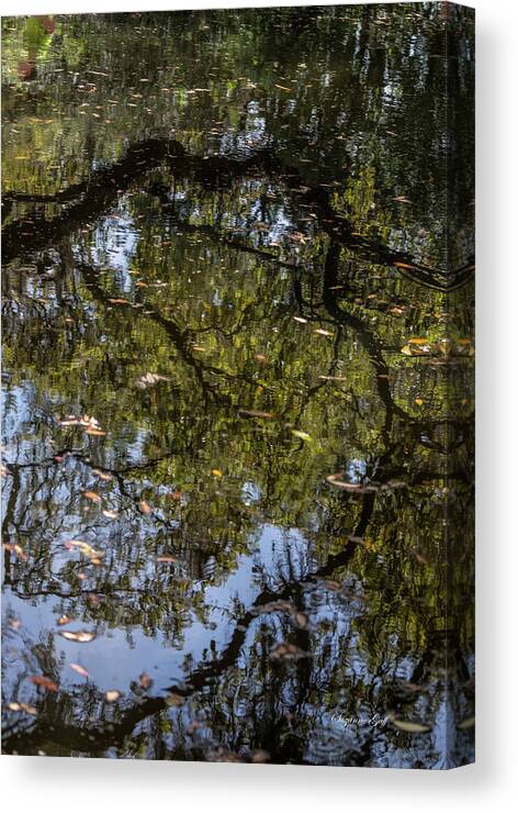 Photograph Canvas Print featuring the photograph Springtime Reflections by Suzanne Gaff