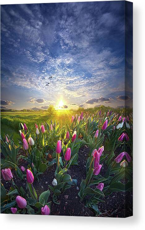 Fineart Canvas Print featuring the photograph Still I Rise by Phil Koch