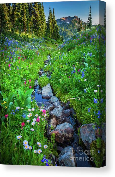 America Canvas Print featuring the photograph Summer Creek by Inge Johnsson
