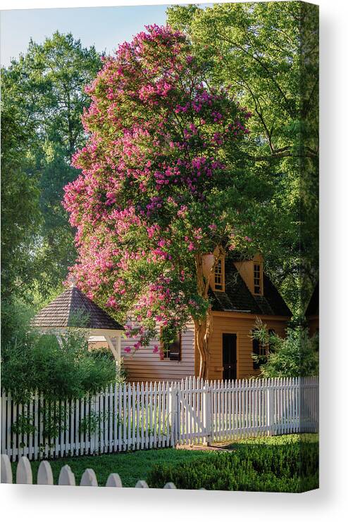 Colonial Williamsburg Canvas Print featuring the photograph Summer Myrtle by Rachel Morrison