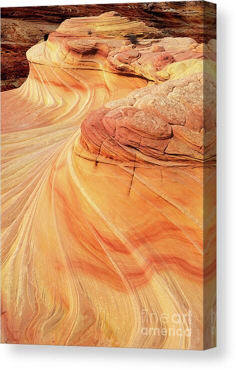 The Wave Canvas Print featuring the photograph Swirls and patterns of sandstone fins in Coyote Butte, Arizona, USA by Neale And Judith Clark