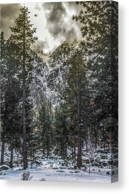  Canvas Print featuring the photograph _t__8454 by John T Humphrey