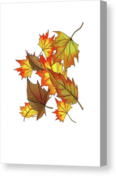 The Fall Canvas Print featuring the drawing The Fall by Andrew Hitchen