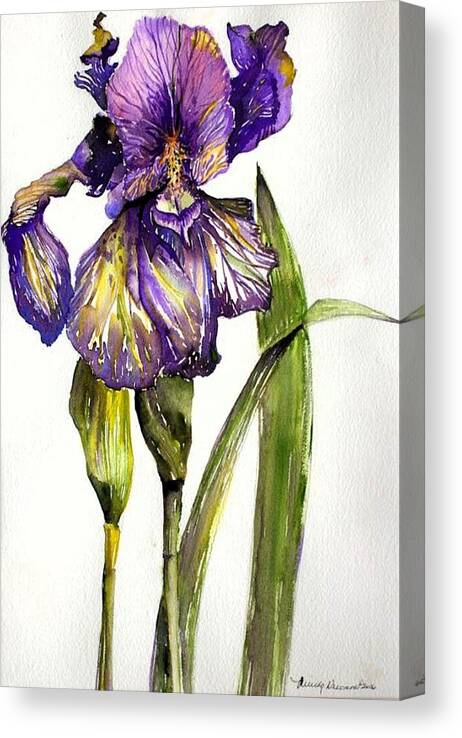 Flower Canvas Print featuring the painting The Iris by Mindy Newman