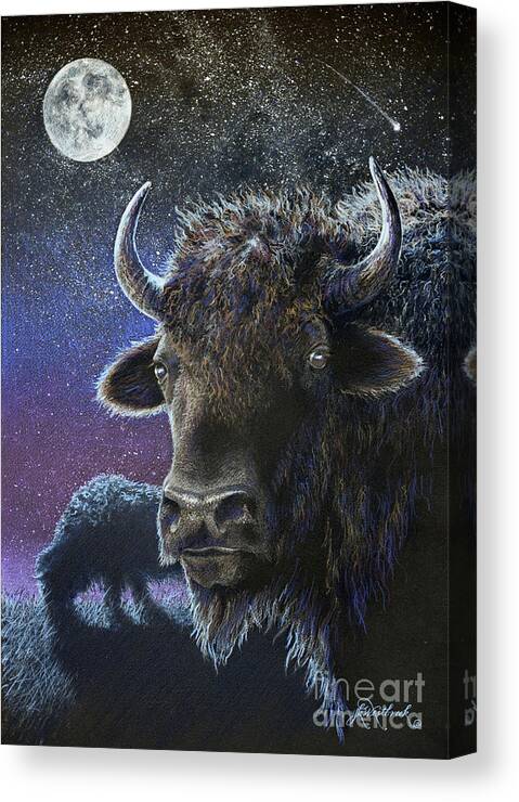 Bison Canvas Print featuring the drawing the Nightwatch by Jill Westbrook