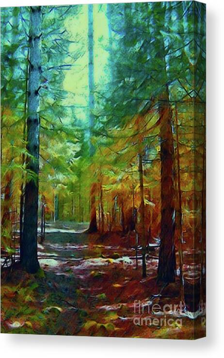 Woods Canvas Print featuring the photograph The Path III by Shirley Moravec