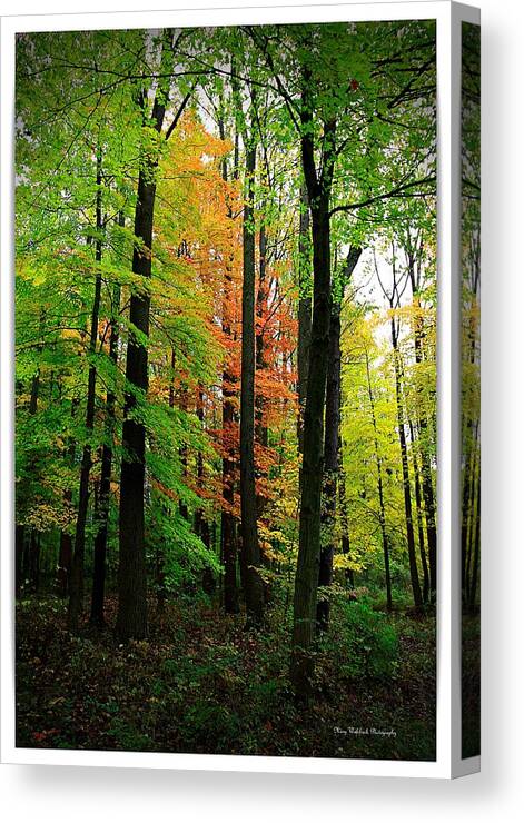 Autumn Canvas Print featuring the photograph The Return of Autumn by Mary Walchuck