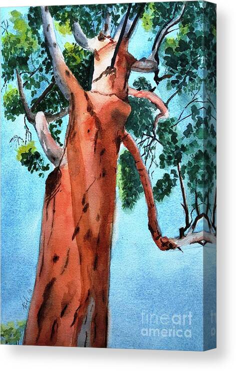 Gumtree Canvas Print featuring the painting Up a Gum Tree by Vicki B Littell