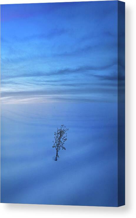 Fineart Canvas Print featuring the photograph Verging by Phil Koch