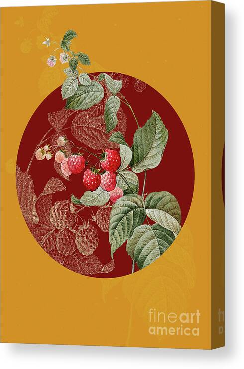 Vintage Canvas Print featuring the painting Vintage Botanical Red Berries on Circle Red on Yellow by Holy Rock Design