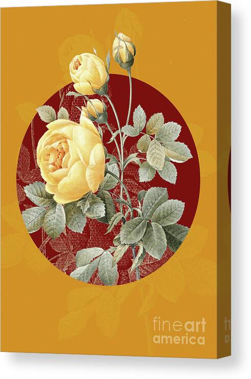 Vintage Canvas Print featuring the mixed media Vintage Botanical Yellow Rose on Circle Red on Yellow by Holy Rock Design