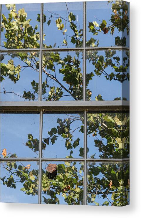 Window Canvas Print featuring the photograph Window Time by Tony Locke