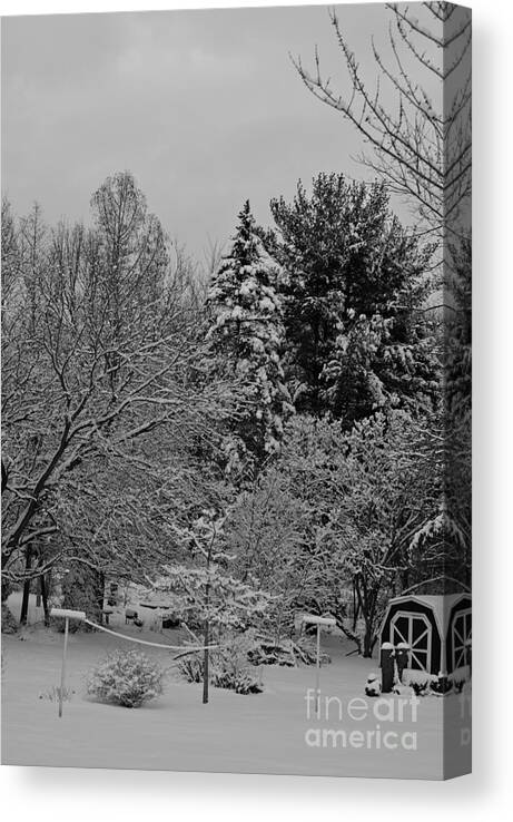 Landscape Photography Canvas Print featuring the photograph Winter Clothesline - Black and White by Frank J Casella