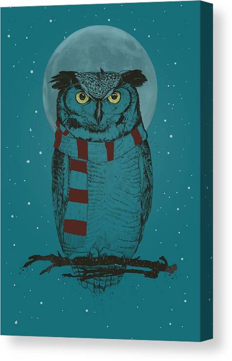 Owl Canvas Print featuring the drawing Winter owl II by Balazs Solti