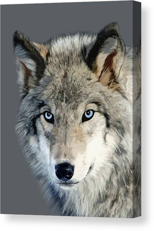Nature Canvas Print featuring the mixed media Wolf by Judy Link Cuddehe