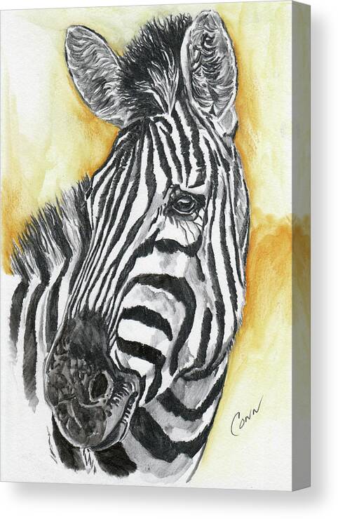 Zebra Canvas Print featuring the drawing Zebra by Shawn Conn