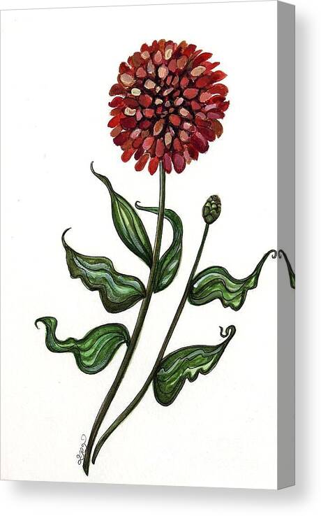 Zinnias Canvas Print featuring the painting Zinnia Botanical by Elizabeth Robinette Tyndall