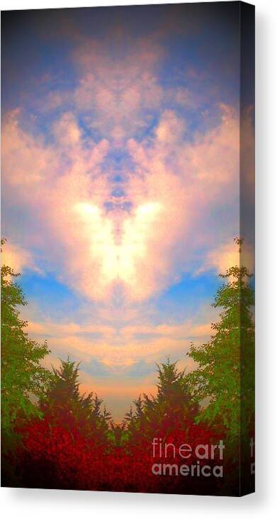  Canvas Print featuring the photograph Butterfly Cloud by Karen Newell