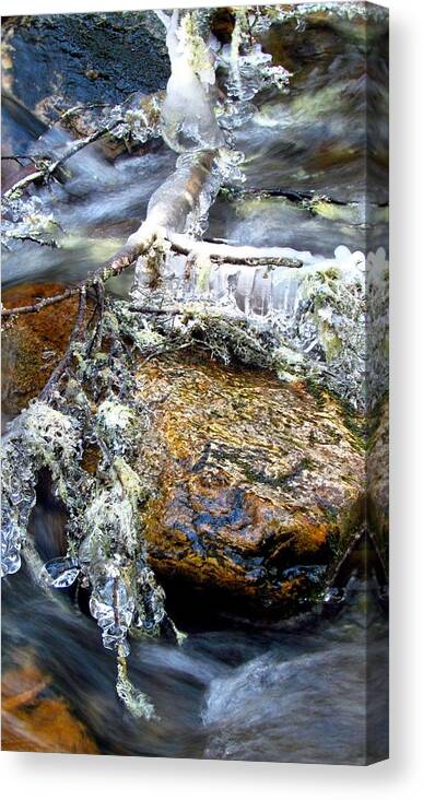 Ice Canvas Print featuring the photograph Ice Ornaments by Carol Montoya