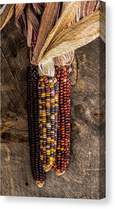 Indian Canvas Print featuring the photograph Indian Harvest Corn by Michael Moriarty