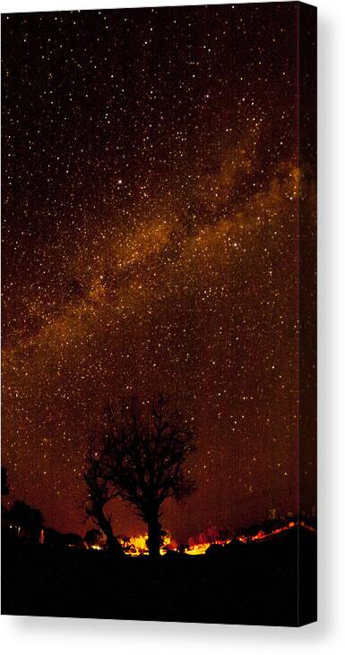 Tree Canvas Print featuring the photograph Milky Way Tree by Kathleen McGinley