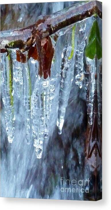 Winter In Oregon Canvas Print featuring the photograph Natures Icing by Susan Garren