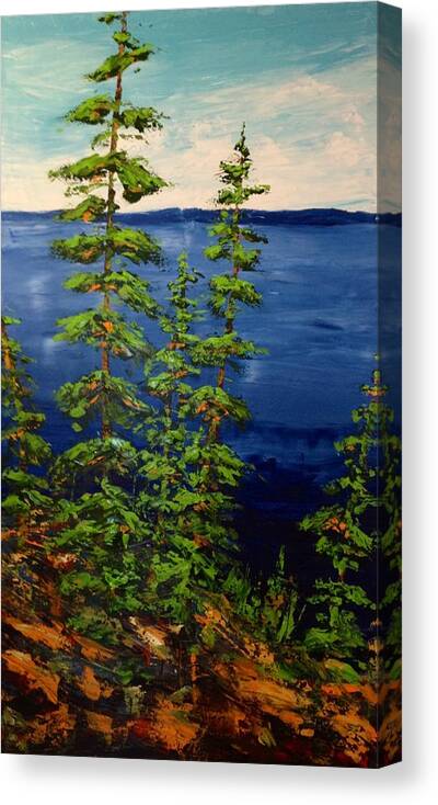 Northern Painting Canadian Impressionist Canvas Print featuring the painting Peaceful Spot - Northern Lake by Desmond Raymond