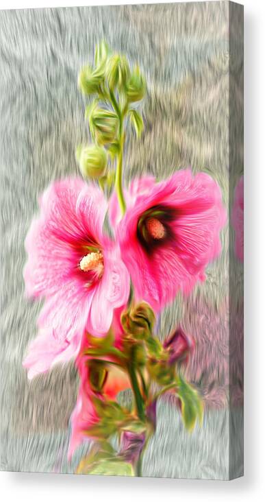 Flower Canvas Print featuring the photograph Rose of The North abstract. by Ian Gledhill