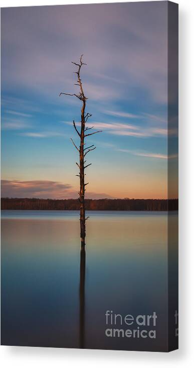 Stand Alone Canvas Print featuring the photograph Stand Alone 16x9 Crop by Michael Ver Sprill