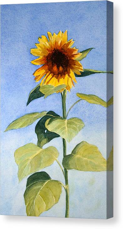 Sunflower Canvas Print featuring the painting Sunflower II by Vikki Bouffard